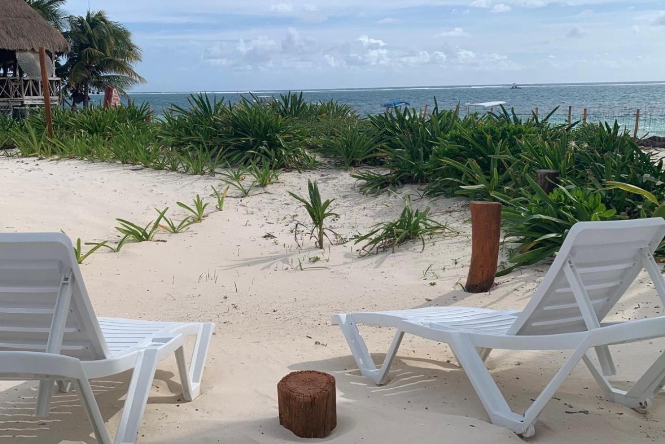 Casa Lucia Beachfront Пуэрто-Морелос Экстерьер фото